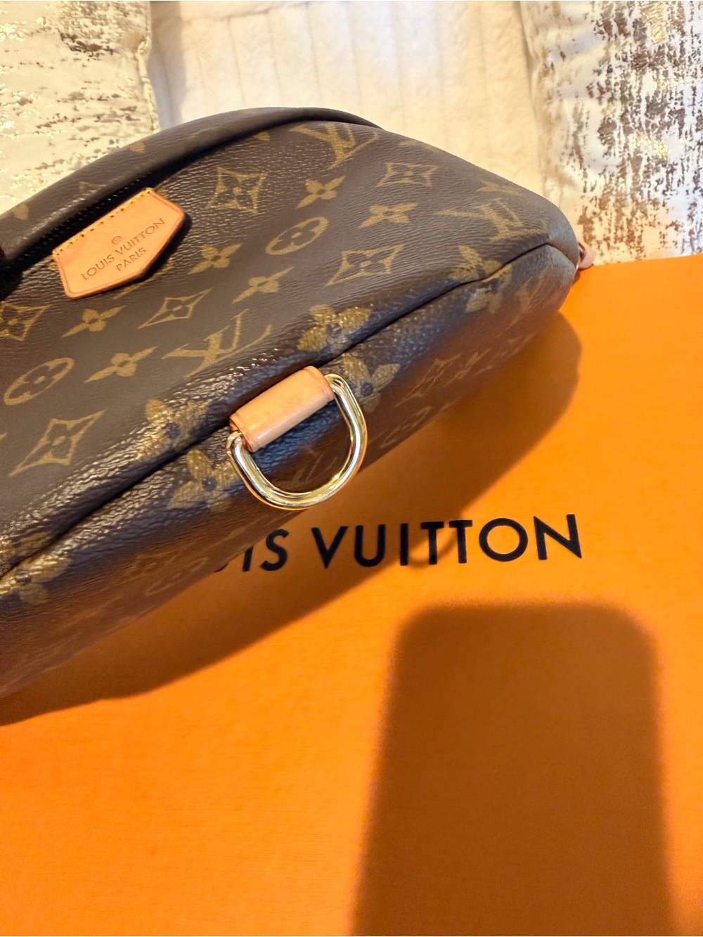 Louis Vuitton Bumbag in Monogram Canvas - Picture 5 of 16
